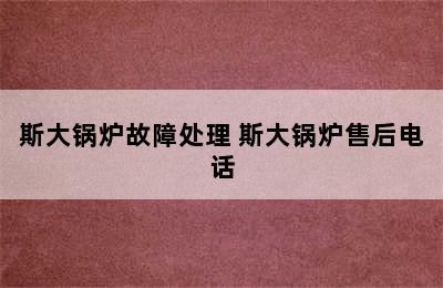 斯大锅炉故障处理 斯大锅炉售后电话